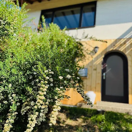 Falkhaus Am Wasserfall