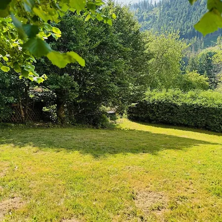 Falkhaus Am Wasserfall *